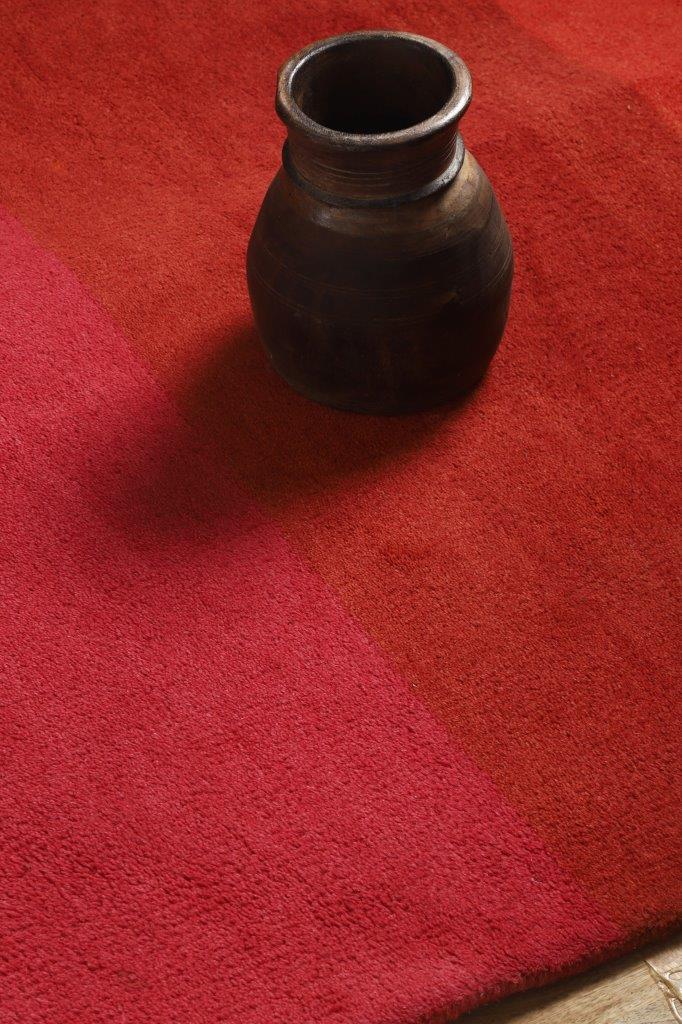 Jivi Hand Tufted Carpet